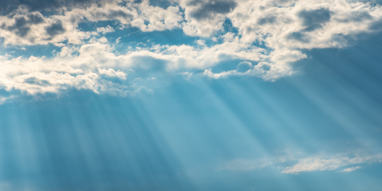 Un été avec Jésus  Le sel de la terre et la lumière du monde
